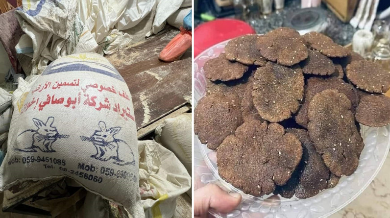 صور| في شمال غزة: تنقية الحبوب من أعلاف تسمين الأرانب لاستخدامها بصناعة الخبز